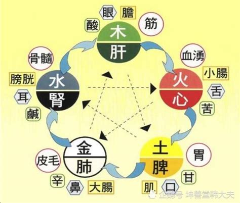 中醫五行屬性|中醫基礎/五行學說